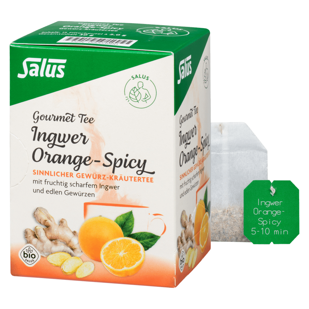 Bio Ingwer Orange Spicy Tee von Salus