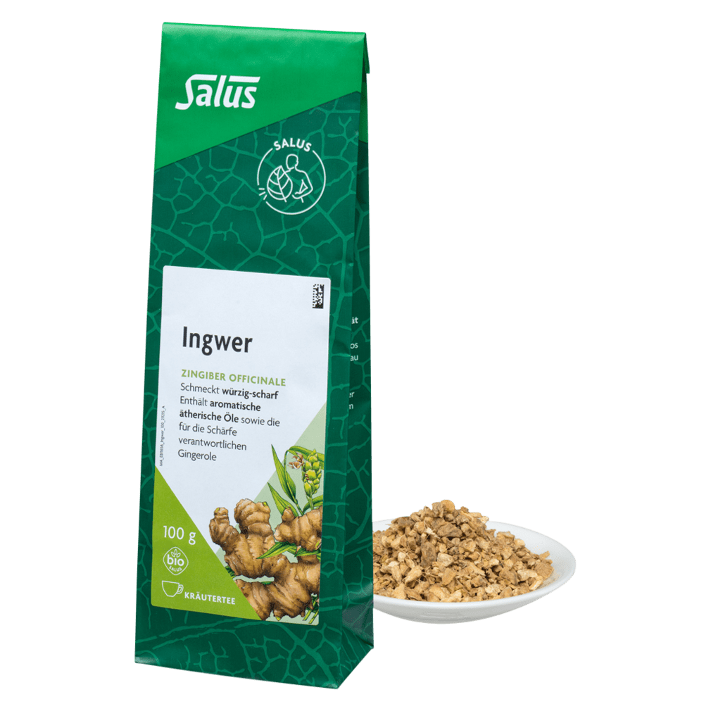 Bio Ingwer Tee Bio Ingwer Tee von Salus