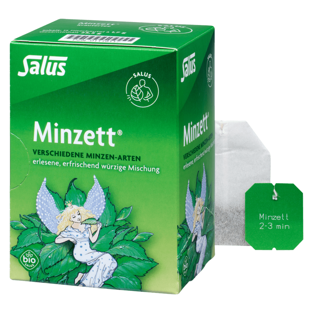 Bio Minzett Kräutertee von Salus