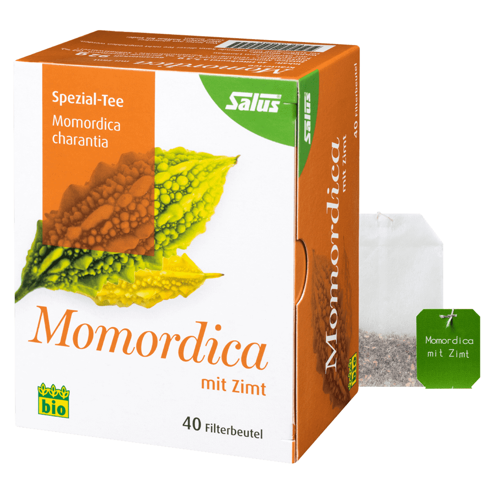 Bio Momordica Tee mit Zimt von Salus