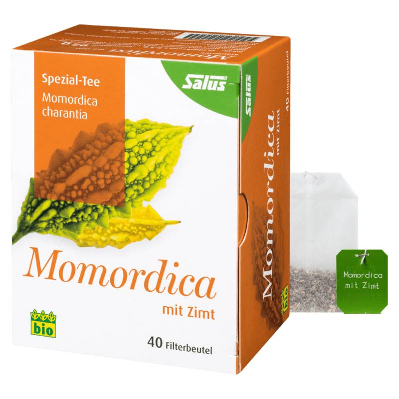 Bio Momordica Tee mit Zimt von Salus