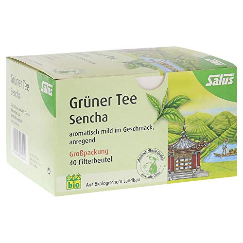 Grüner TEE bio Salus Filterbeutel Großpackung von Salus