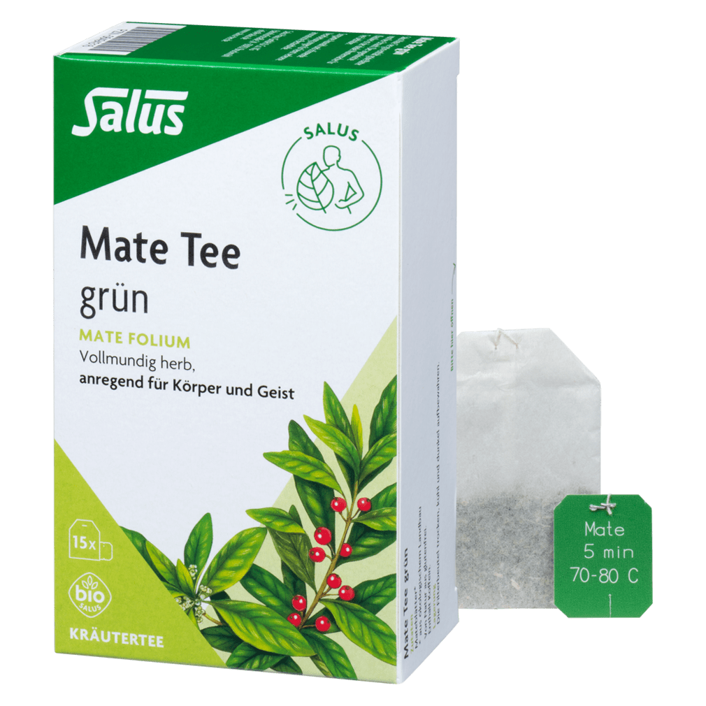 Mate Tee, 15 Filterbeutel von Salus