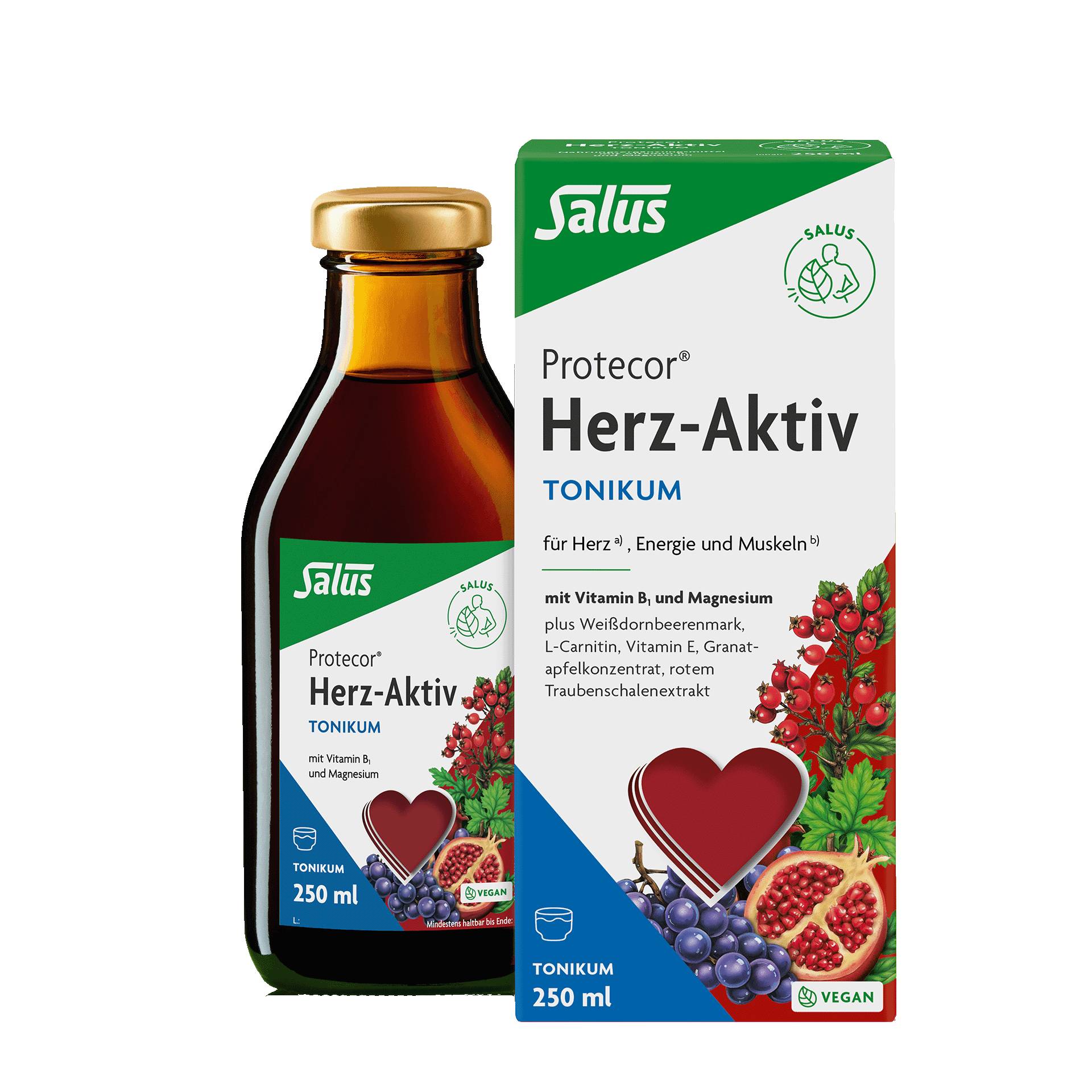 Protecor Herz-Aktiv Spezial Tonikum, 250 ml von Salus