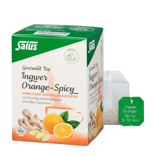 Salus Orange-Spicy Ingwer Gewürz-Kräutertee (1 x 30 g) - Bio von Salus