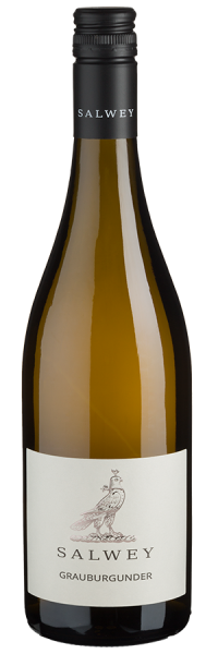 Grauburgunder trocken - 2021 - Salwey - Deutscher Weißwein von Salwey