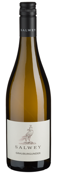 Grauburgunder trocken - 2021 - Salwey - Deutscher Weißwein Grauburgunder trocken - 2021 - Salwey - Deutscher Weißwein von Salwey