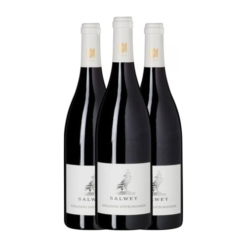Salwey Kaiserstuhl Spätburgunder Trocken Baden 75 cl Rotwein (Karton mit 3 Flaschen von 75 cl) von Salwey