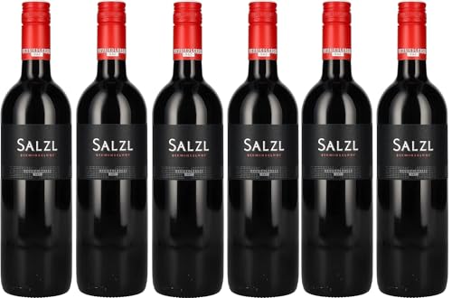 Salzl Seewinkelhof Neusiedlersee DAC Zweigelt 2022 6 Flaschen zu je 0,75 Liter Salzl Seewinkelhof Neusiedlersee DAC Zweigelt 2022 6 Flaschen zu je 0,75 Liter von Salzl Seewinkelhof GmbH