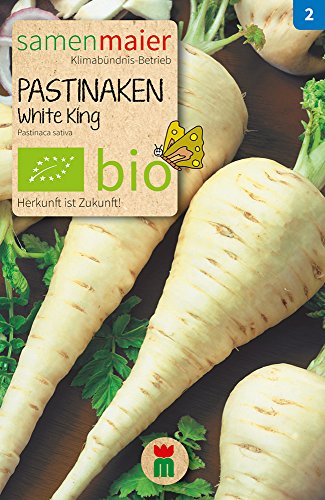 Samen Maier 739 Pastinake White King (Bio-Pastinakensamen) von Samen Maier