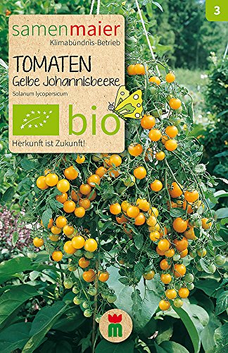 Samen Maier 896 Tomaten Gelbe Johannisbeere (Bio-Tomatensamen) von Samen Maier