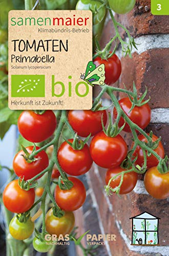Samen Maier 912 Tomate Primabella (Bio-Tomatensamen) von Samen Maier