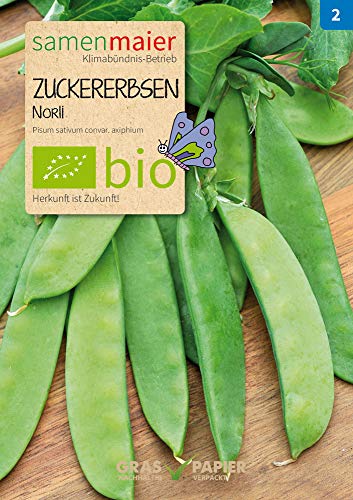 Samen Maier 938 Zuckererbse Norli (Bio-Zuckererbsensamen) von Samen Maier