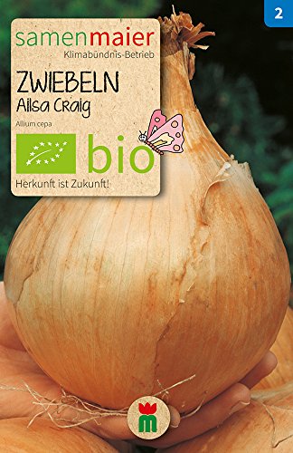 Zwiebeln Riesenspeisezwiebel Alisa Craig | Bio-Zwiebelsamen Zwiebeln Riesenspeisezwiebel Alisa Craig | Bio-Zwiebelsamen von Samen Maier