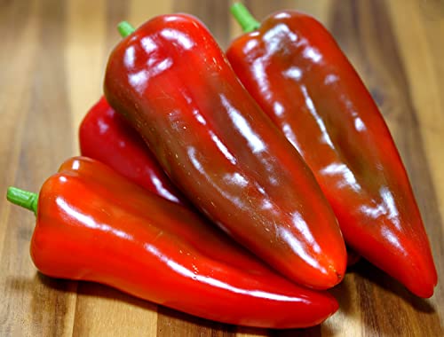 Bullhorn Paprika – Süßer Spitzpaprika mit hohem Ertrag - 30 Samen Bullhorn Paprika – Süßer Spitzpaprika mit hohem Ertrag - 30 Samen von Samen Schenker