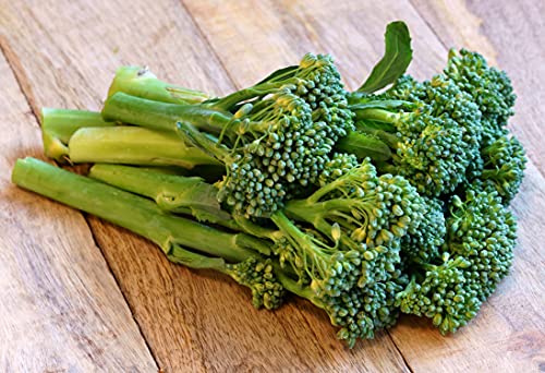 Italienischer Spargelbrokkoli/Stängelkohl/Broccoli Raab/Brocoletti/Cima di Rapa- Riccia S. Marzano - 1000 Samen Italienischer Spargelbrokkoli/Stängelkohl/Broccoli Raab/Brocoletti/Cima di Rapa- Riccia S. Marzano - 1000 Samen von Samen Schenker