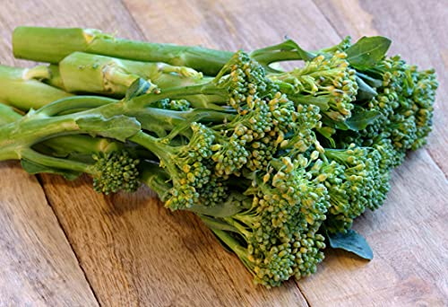 Italienischer Spargelbrokkoli/Stängelkohl/Broccoli Raab/Brocoletti/Cima di Rapa Sessantina - 500 Samen Italienischer Spargelbrokkoli/Stängelkohl/Broccoli Raab/Brocoletti/Cima di Rapa Sessantina - 500 Samen von Samen Schenker