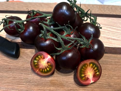 Tomate Blackball - Tiefdunkle Delikatesse mit intensivem Geschmack - 20 Samen von Samen Schenker