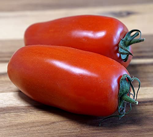 Tomate San Marzano – Aromatisch und ertragreich, perfekt für die Küche - 20 Samen Tomate San Marzano – Aromatisch und ertragreich, perfekt für die Küche - 20 Samen von Samen Schenker
