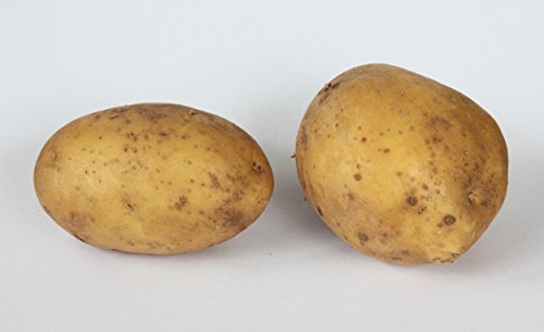 Pflanzkartoffeln 'Linda' 2,5 kg Pflanzkartoffeln 'Linda' 2,5 kg von Samenshop 24