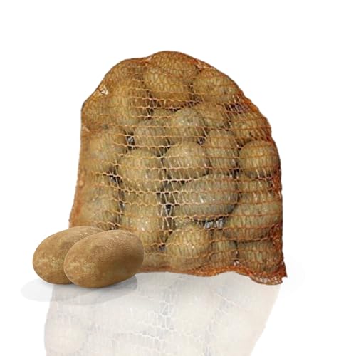 Pflanzkartoffeln Belana, 2,5 kg (ca. 35 Stück) festkochend, Premium Saatkartoffeln, frühreifenden Kartoffelsorte, gelbfleischig lange lagerfähig von Samenshop 24