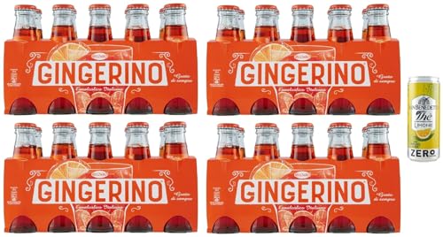 40er-Pack Gingerino Recoaro Erfrischendes alkoholfreies Getränk,Italienischer Aperitif,Ginger 10cl Einweg-Glasflasche + 1er-Pack Kostenlos San Benedetto Eistee mit Zitrone Ohne Zucker 330ml Dose von San Benedetto