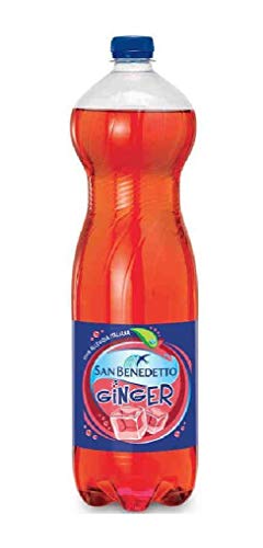 6x San benedetto Ginger PET 1.5 Lt Ingwer bitter erfrischend Aperitiv-Aperif von San Benedetto