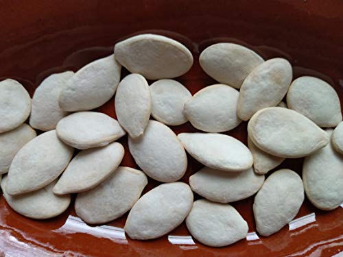Kürbiskerne geröstet gesalzen 2 kg Beutel von SAN BLAS EL SABOR DEL SUR FRUTOS SECOS Y GOLOSINAS