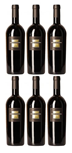 San Marzano Sessantanni Primitivo di Manduria DOP 2019 (6 x 0,75 l) von dakomyo
