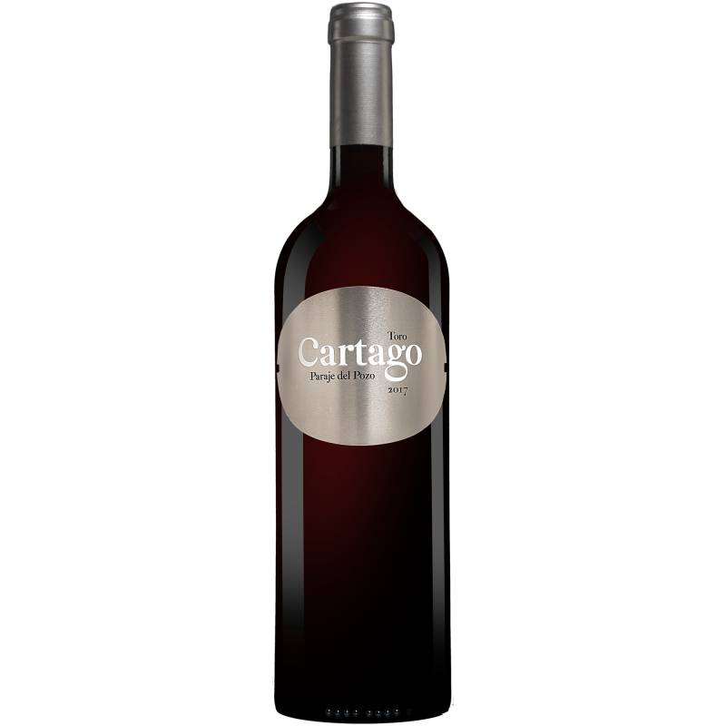 Cartago Paraje del Pozo 2017  0.75L 14.5% Vol. Rotwein Trocken aus Spanien von San Román Bodegas y Viñedos