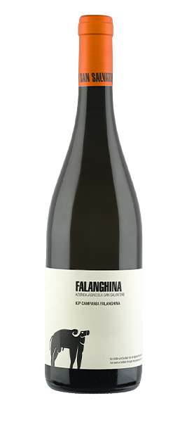 Falanghina IGP Campania 2023 von San Salvatore 1988