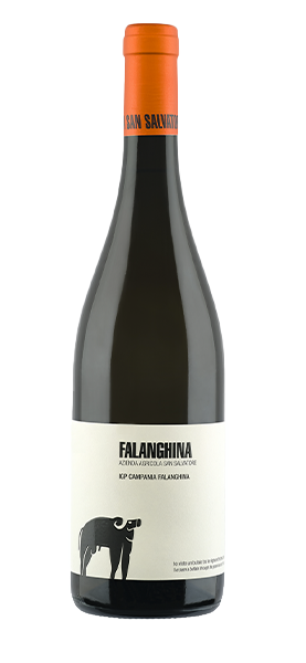 Falanghina IGP Campania 2023 von San Salvatore 1988