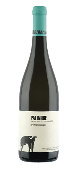 "Palinure" IGP Paestum Bianco 2024 von San Salvatore 1988