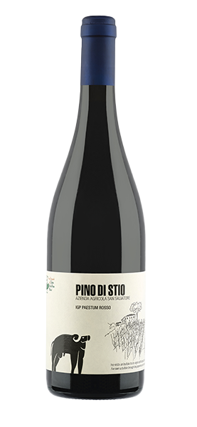 "Pino di Stio" IGP Paestum Rosso 2020 "Pino di Stio" IGP Paestum Rosso 2020 von San Salvatore 1988