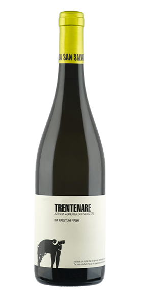 "Trentenare" IGP Paestum Fiano 2023 "Trentenare" IGP Paestum Fiano 2023 von San Salvatore 1988