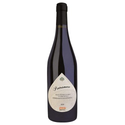 Montepulciano dAbruzzo Pietramore DOP 2018 (Auslaufartikel) von San Vicario