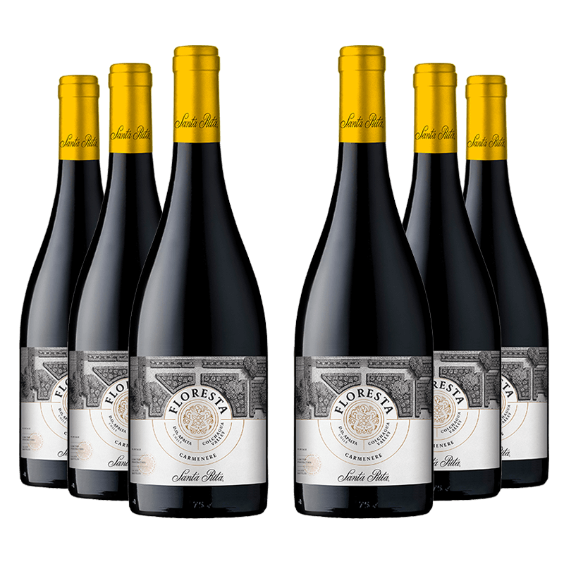 Santa Rita : Floresta Carmenère 2022 Santa Rita : Floresta Carmenère 2022 von Santa Rita