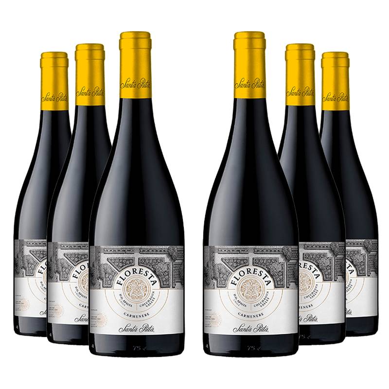 Santa Rita : Floresta Carmenère 2022 von Santa Rita