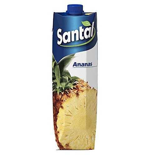 ANANASSAFT BRIK X 1 von Santal