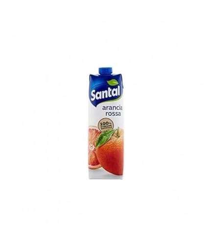 ORANGENSAFT BRIK X 1 von Santal