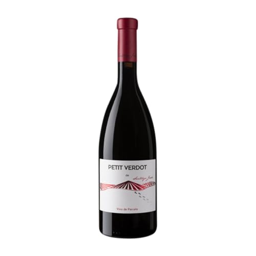 Santiago Jordi Petit Verdot Vino de la Tierra de Cádiz Alterung 75 cl Rotwein Santiago Jordi Petit Verdot Vino de la Tierra de Cádiz Alterung 75 cl Rotwein von Santiago Jordi
