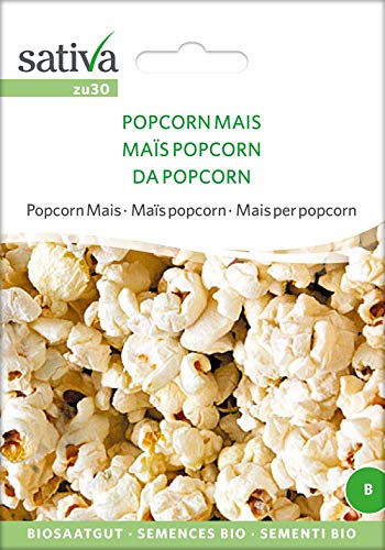 Popcorn Mais Popcorn Mais | Bio-Maissamen Popcorn Mais Popcorn Mais | Bio-Maissamen von Sativa Rheinau