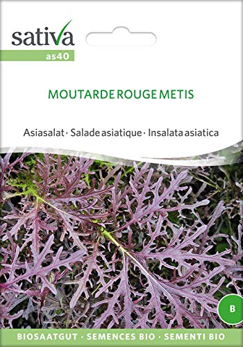 Sativa Rheinau as40 Asiasalat Moutarde Rouge Metis (Bio-Salatsamen) von Sativa Rheinau