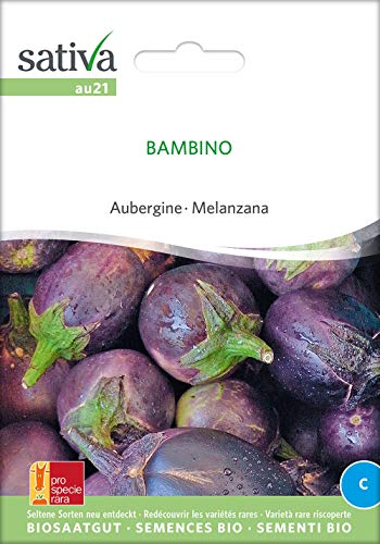 Sativa Rheinau au21 Aubergine Bambino (Bio-Auberginensamen) von Sativa Rheinau