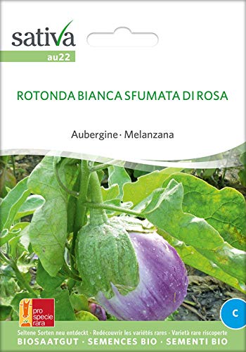 Sativa Rheinau au22 Aubergine Rotonda Bianca Sfumata (Bio-Auberginensamen) von Sativa Rheinau