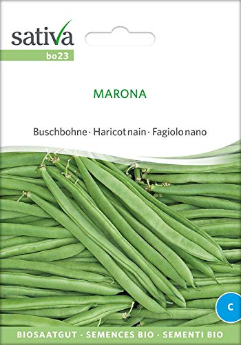 Sativa Rheinau bo23 Buschbohne Marona (Bio-Buschbohnensamen) von Sativa Rheinau