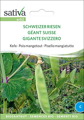 Sativa Rheinau er52 Zuckererbse Schweizer Riesen (Bio-Zuckererbsensamen) von Sativa Rheinau