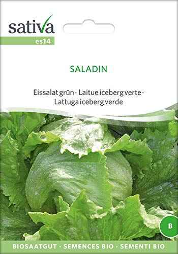 Sativa Rheinau es14 Eissalat grün Saladin (Bio-Salatsamen) von Sativa Rheinau