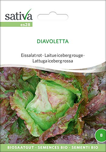 Sativa Rheinau es28 Eissalat grün Diavoletta (Bio-Salatsamen) von Sativa Rheinau