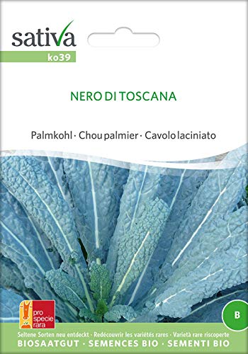 Sativa Rheinau ko39 Palmkohl Nero Di Toscana (Bio-Palmkohlsamen) von Sativa Rheinau